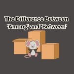 among and between